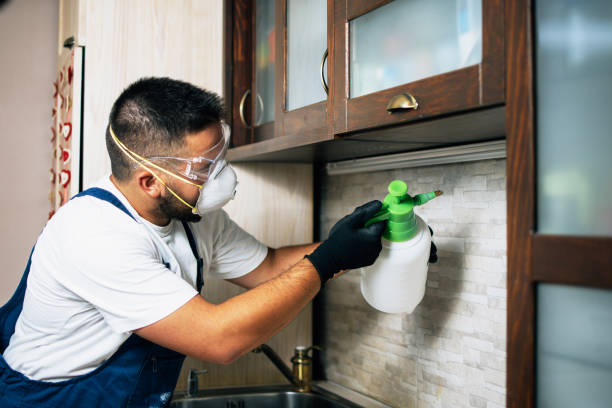 Best Affordable Pest Control Services  in Tyrone, OK