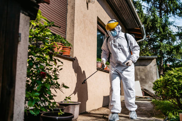 Best Pest Control for Homes  in Tyrone, OK