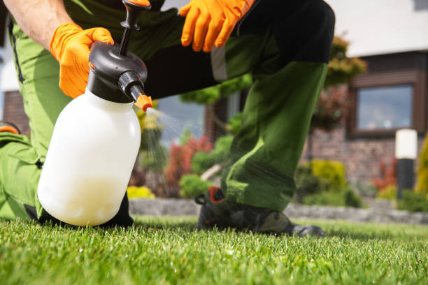 Best Affordable Exterminators  in Tyrone, OK