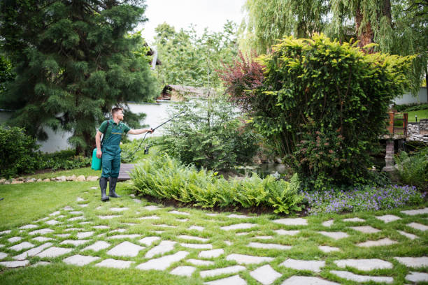 Best Affordable Pest Control Services  in Tyrone, OK