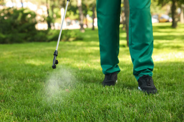 Best Pest Prevention Services  in Tyrone, OK