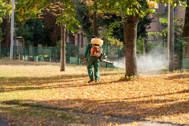 Best Pest Control Near Me  in Tyrone, OK