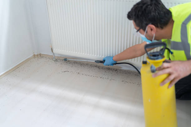 Best Pest Removal Services  in Tyrone, OK
