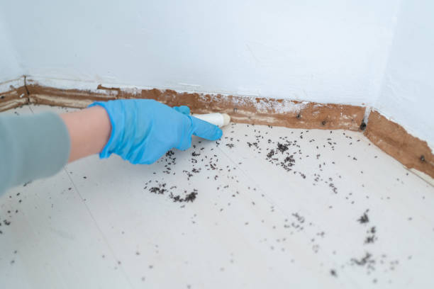 Best Insect Control  in Tyrone, OK