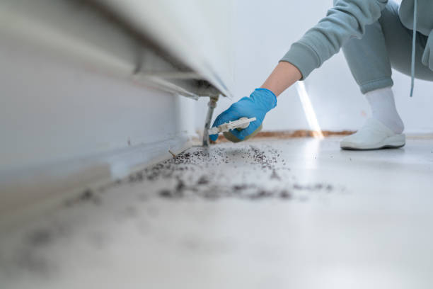 Best Residential Pest Control  in Tyrone, OK