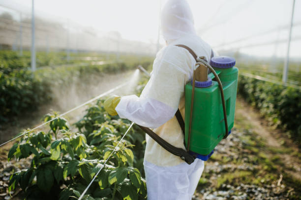 Best Pest Inspection Near Me  in Tyrone, OK